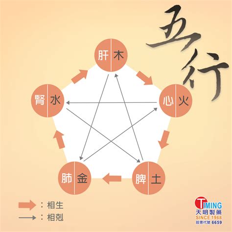 醫療 五行 屬性|中醫知識 